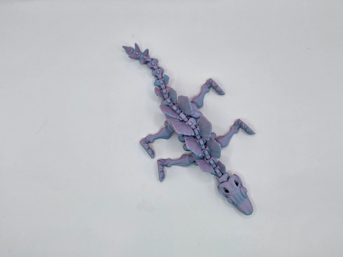 Skeletal Stegosaurus