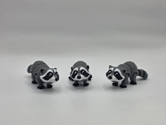 Raccoon (Grey) - 3D POCKET PAL
