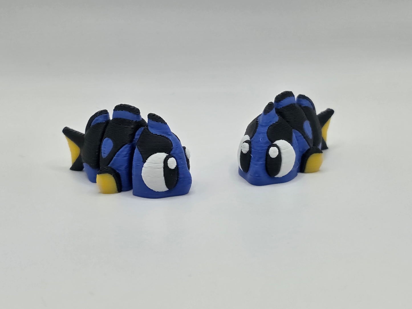Tropical Fish - POCKET PAL