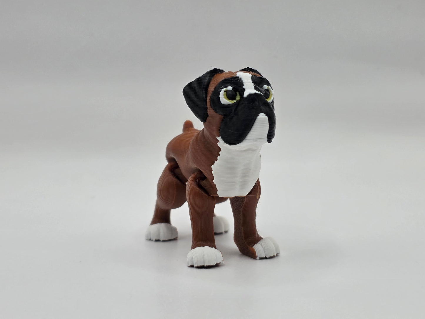Boxer - POCKET PAL