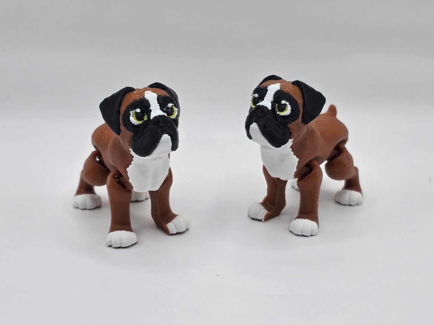 Boxer - POCKET PAL