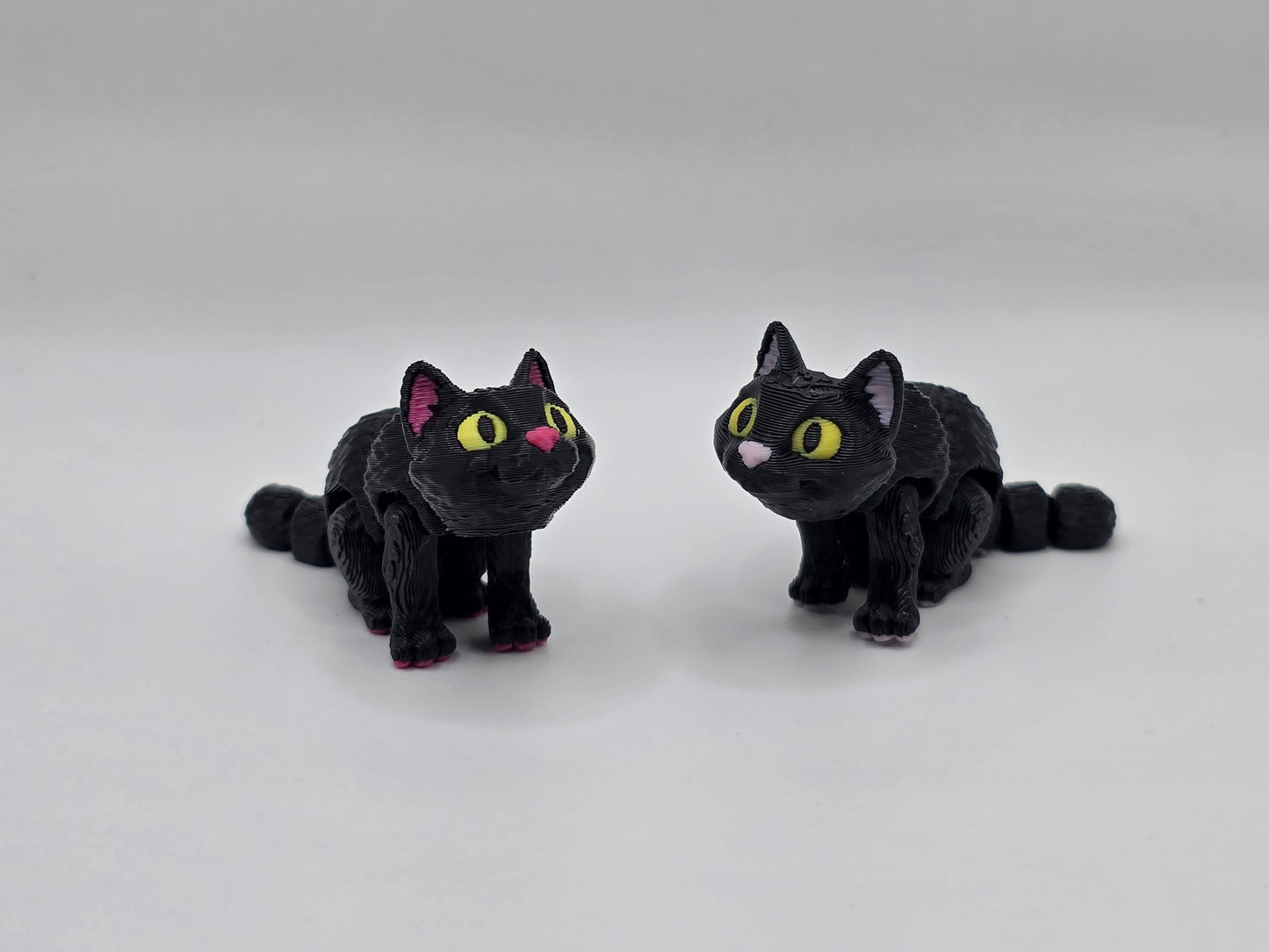 Black Cat - POCKET PAL