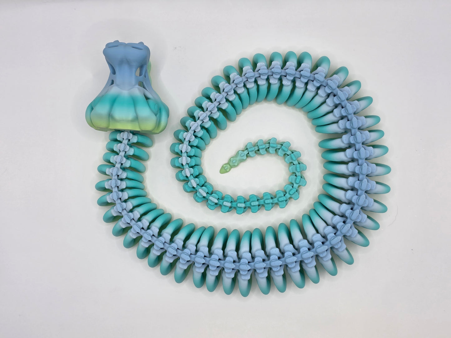 Skeleton Snake - X-LARGE 31"