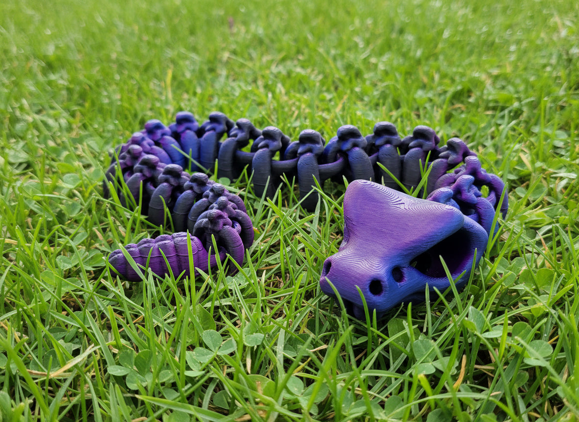 Skeleton Rattle Snake