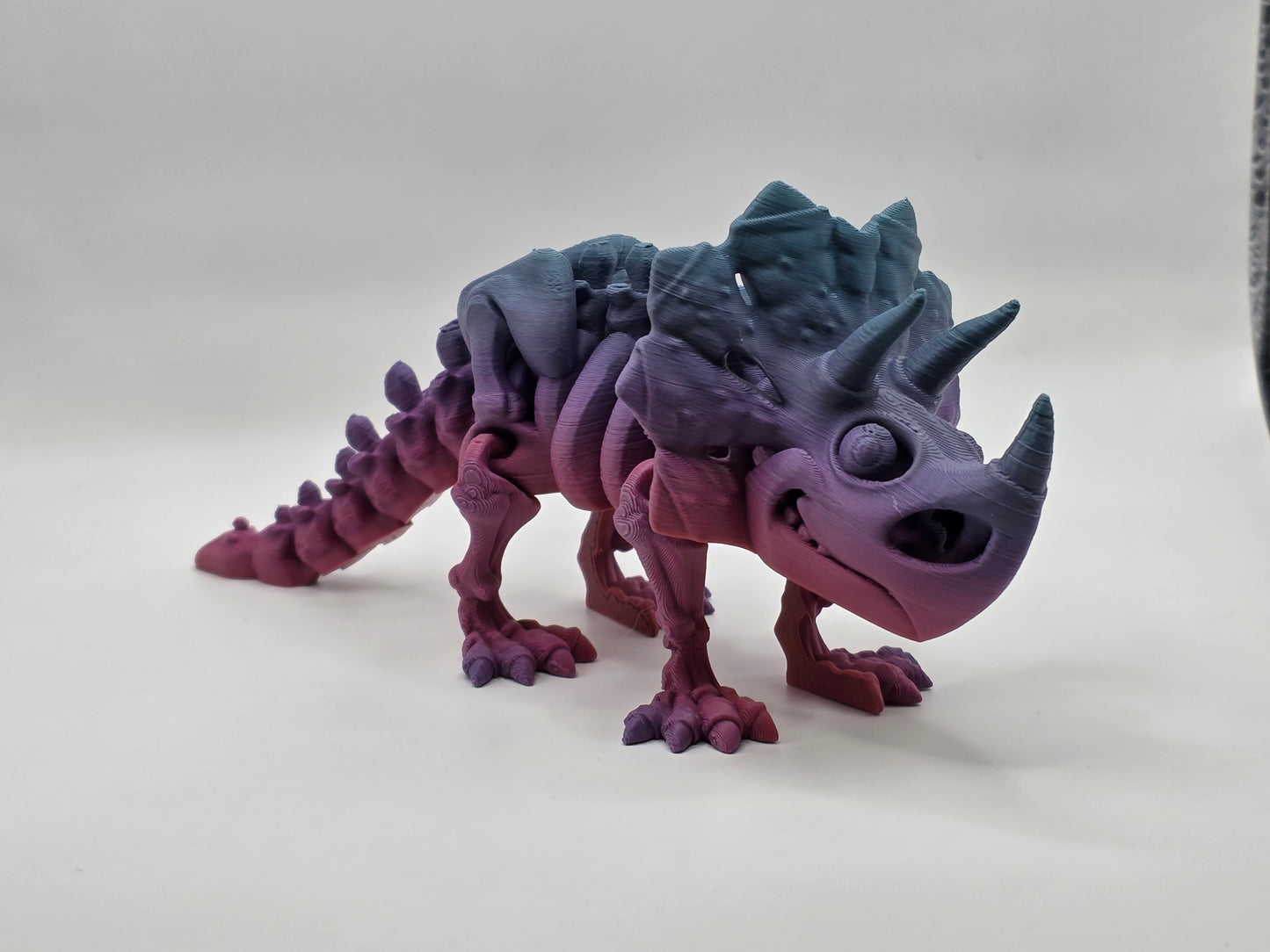 Skeleton Triceratops