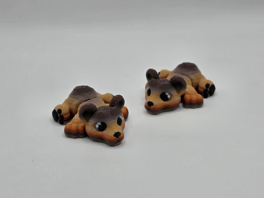Baby Bear - POCKET PAL