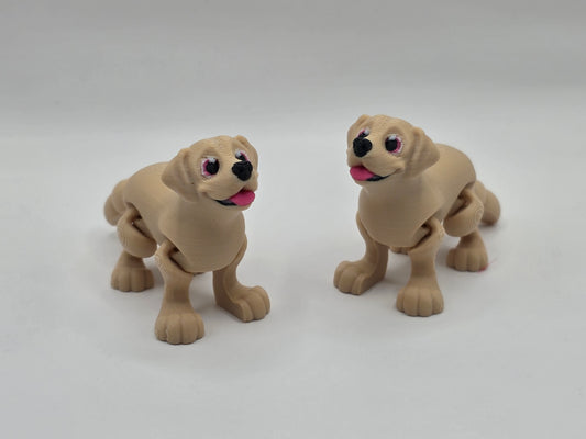 Labrador (Golden) - POCKET PAL