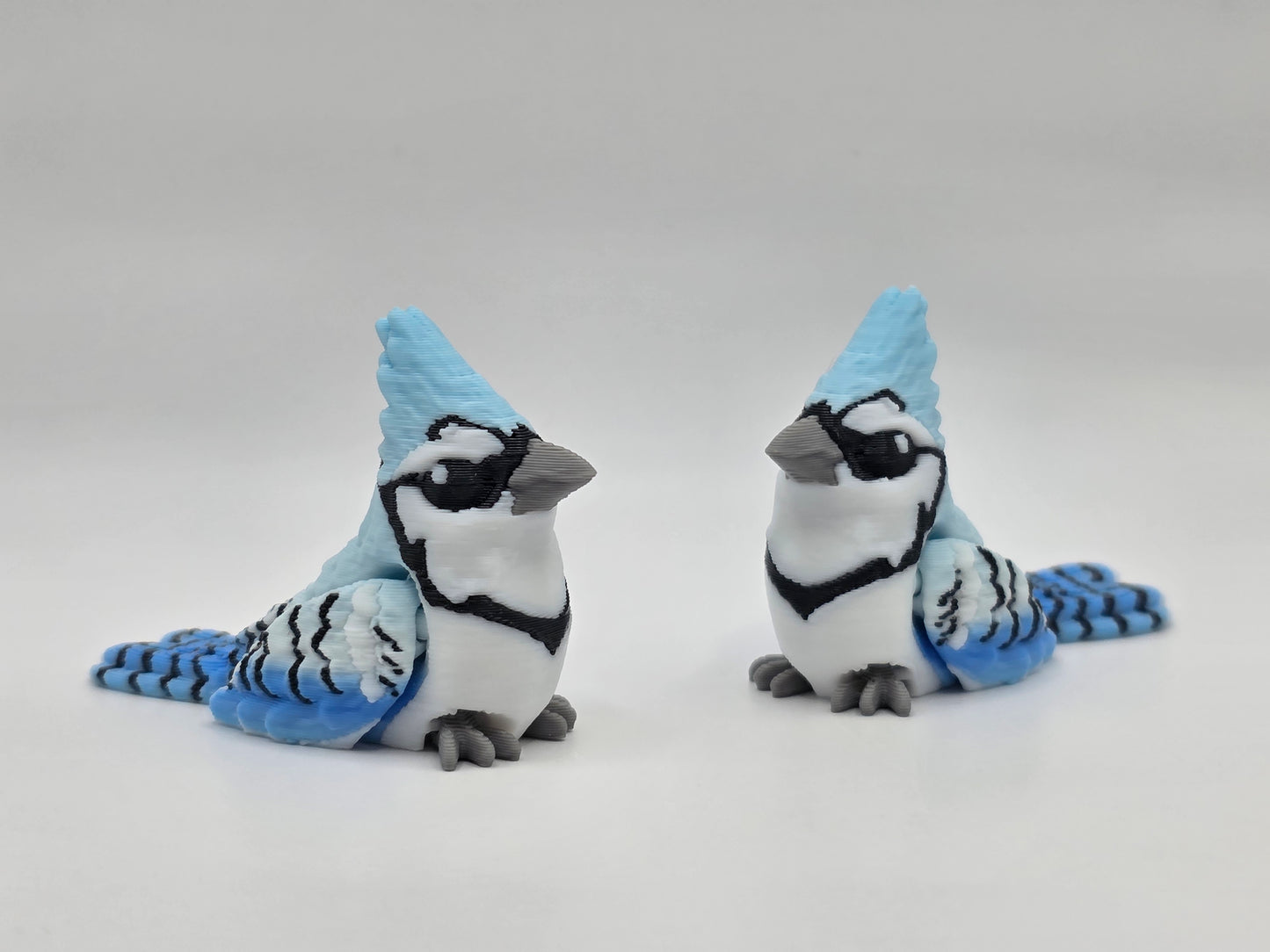 Blue Jay - POCKET PAL