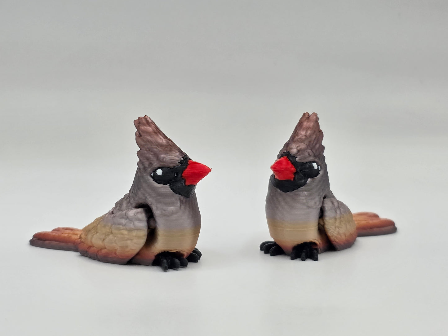 Cardinal (Male) - POCKET PAL