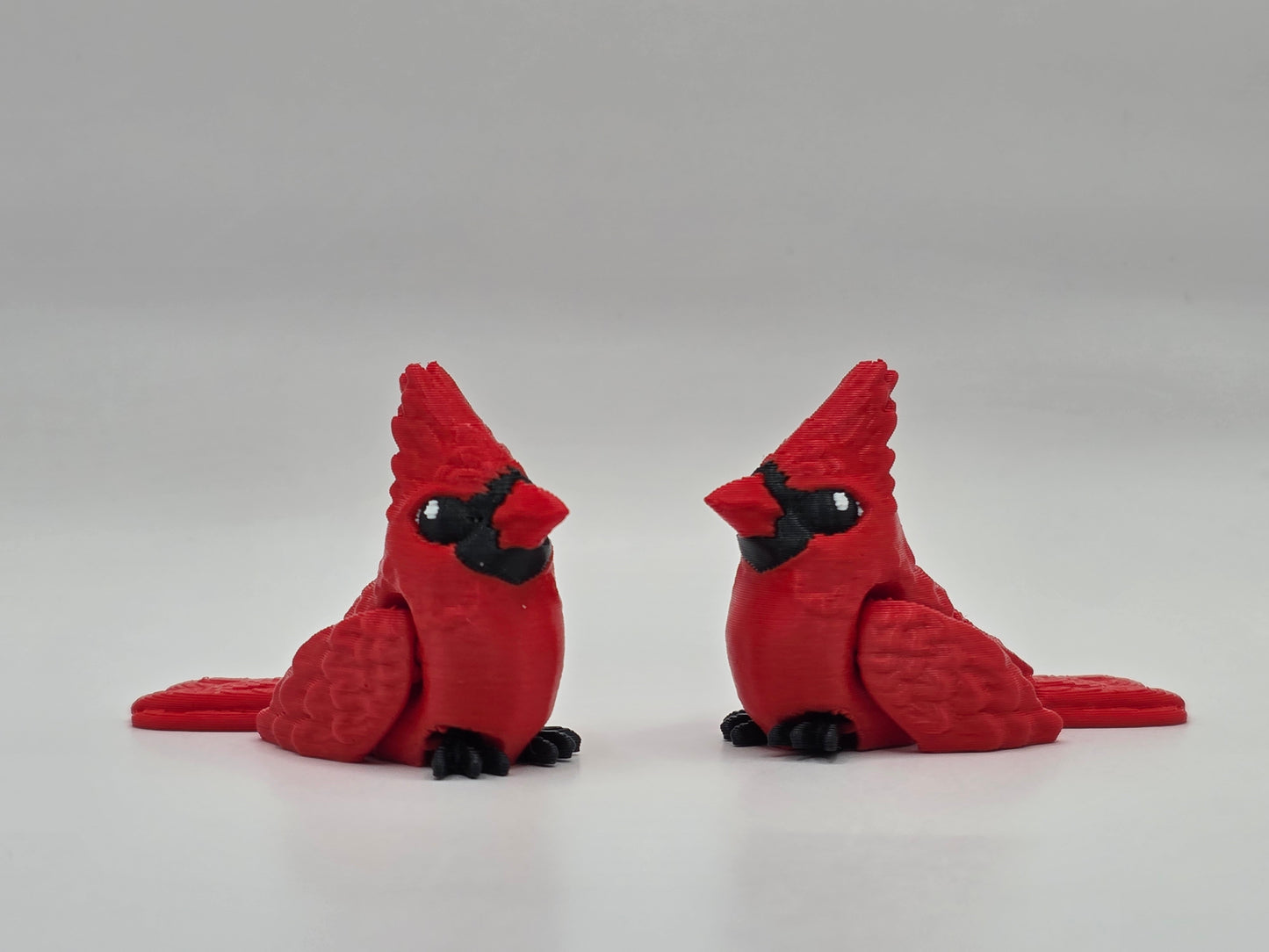Cardinal (Female) - POCKET PAL
