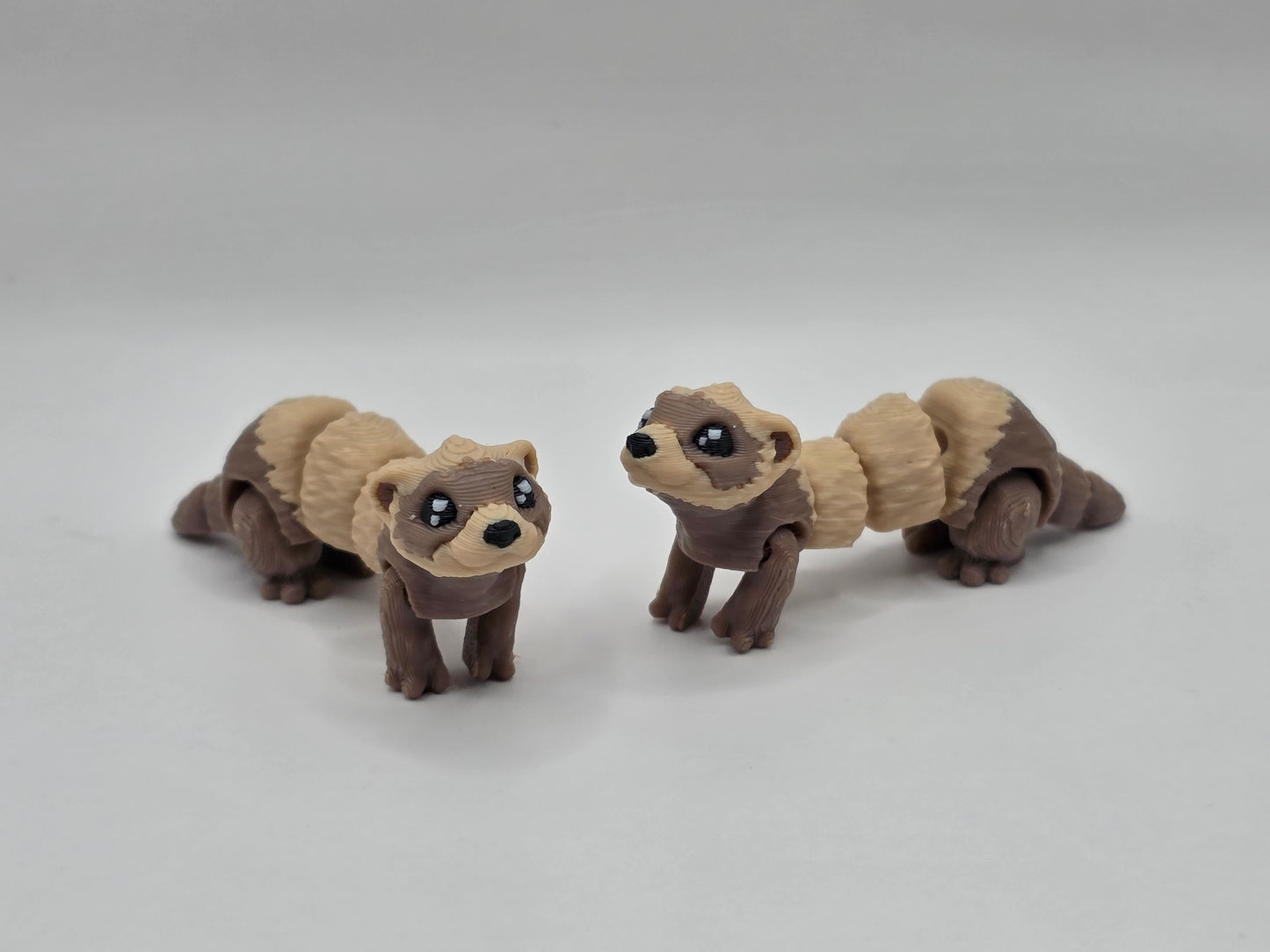 Ferret - POCKET PAL