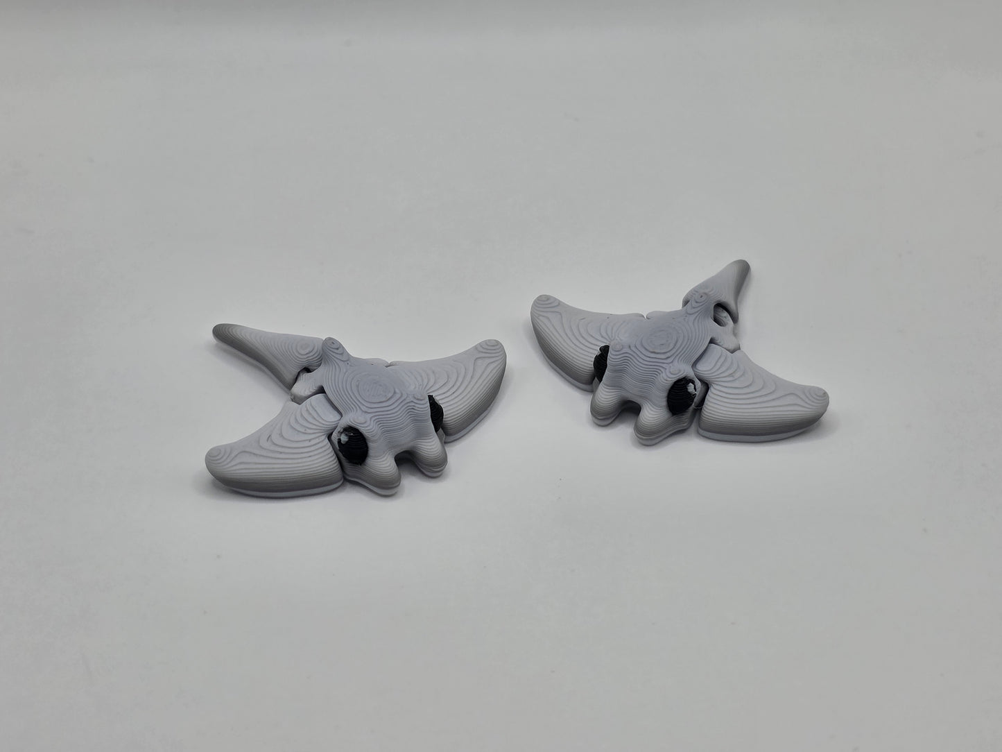 Manta Ray - POCKET PAL