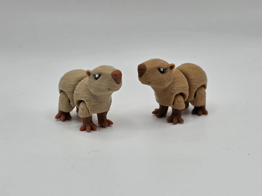 Capybara - POCKET PAL