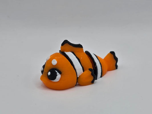 Clown Fish