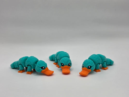 Platypus - POCKET PAL