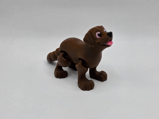 Chocolate Labrador