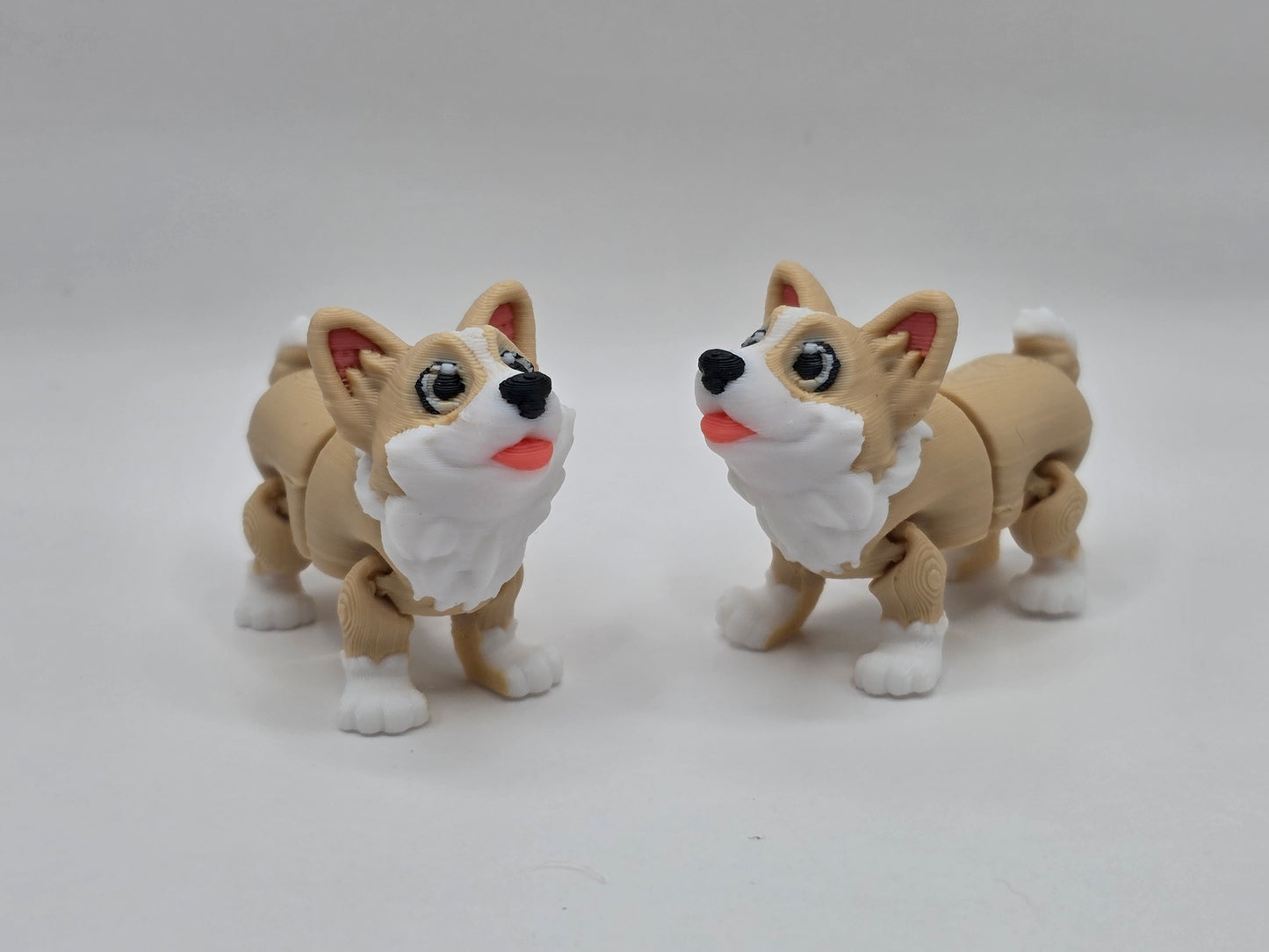 Corgi - POCKET PAL