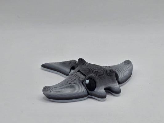 Manta Ray