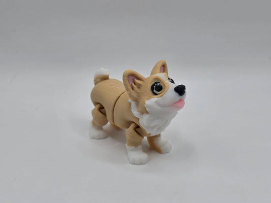 Corgi