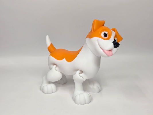 Jack Russell Terrier