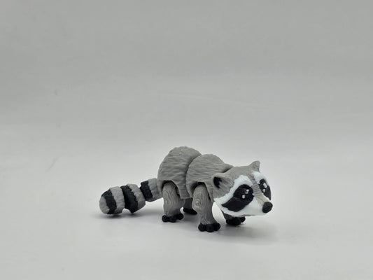 Raccoon