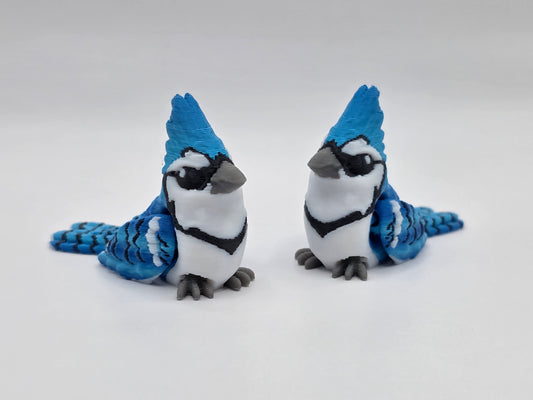 Blue Jay - POCKET PAL