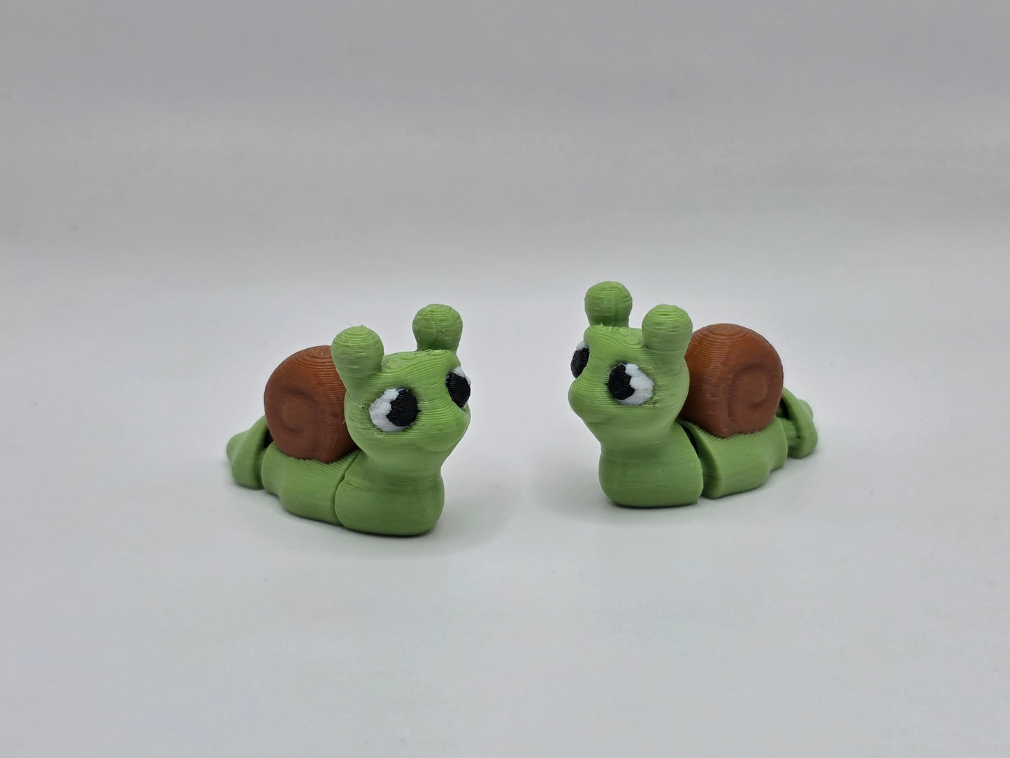 Snail - POCKET PAL