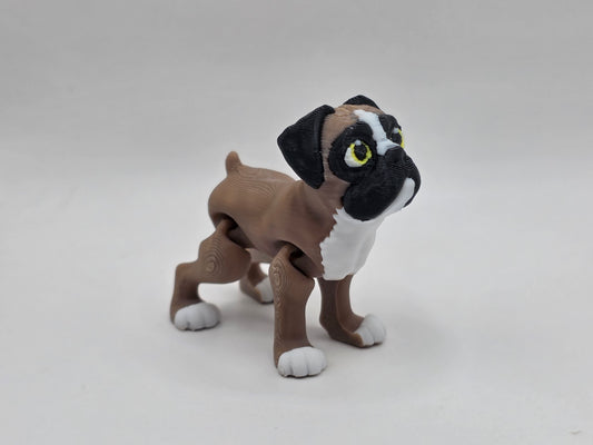 Boxer