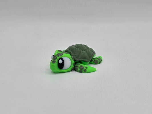 Sea Turtle