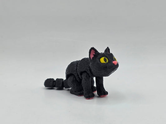 Black Cat