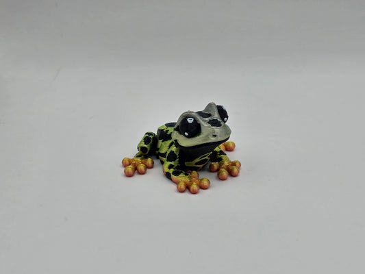 Poison Dart Frog