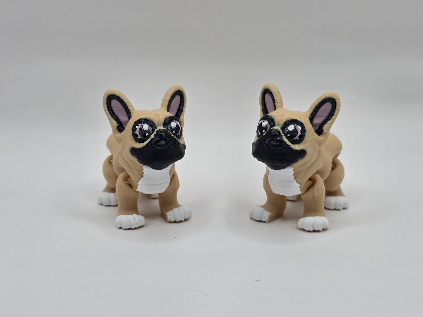 French Bulldog (Frenchie) - POCKET PAL