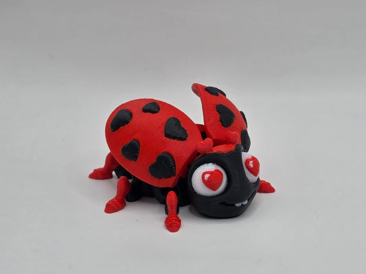 Love Bug Ladybug