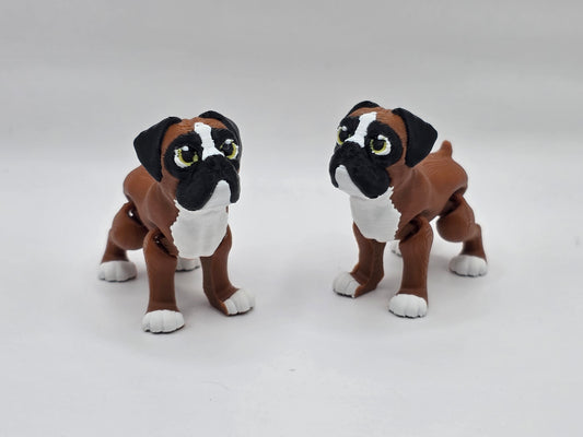 Boxer - POCKET PAL