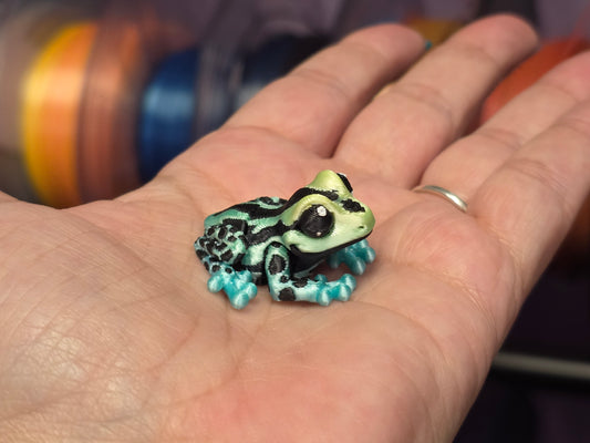 Poison Dart Frog - POCKET PAL