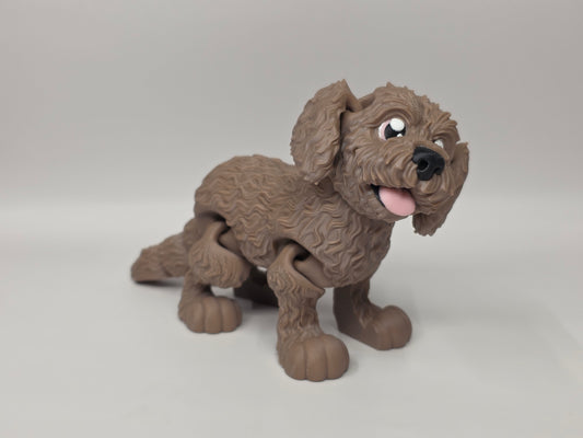 Goldendoodle