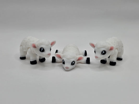 Lamb - 3D POCKET PAL