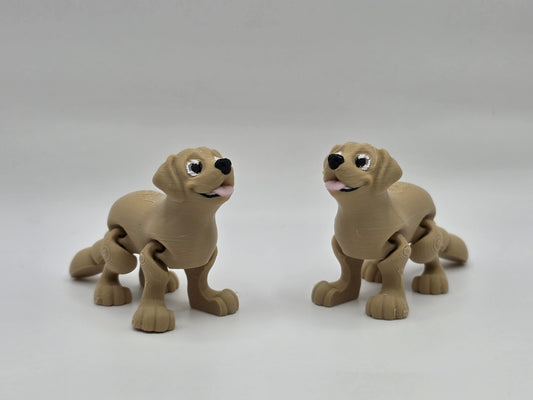Labrador (Golden) - POCKET PAL