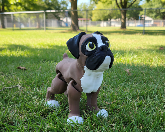 Boxer