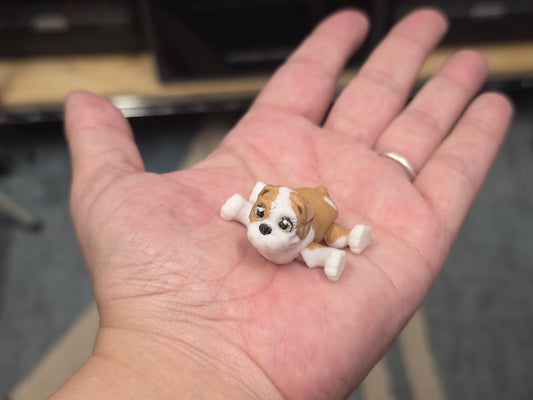 Bulldog - POCKET PAL