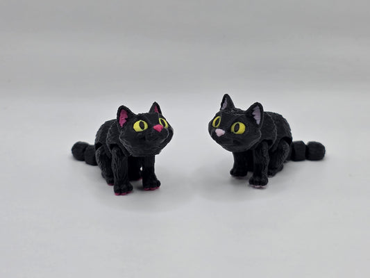 Black Cat - POCKET PAL