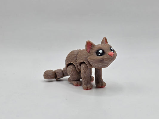 Brown Cat
