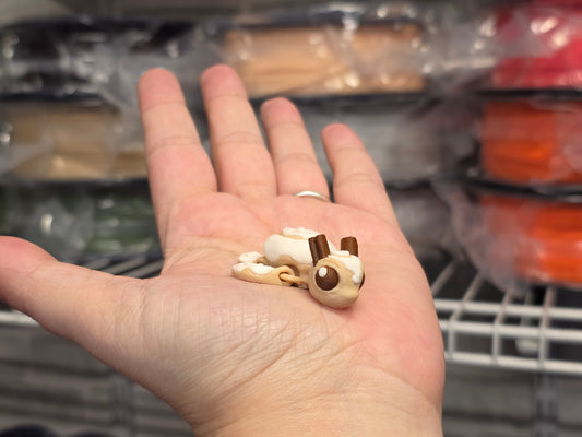 Cinnamon Swirl Turtle - POCKET PAL