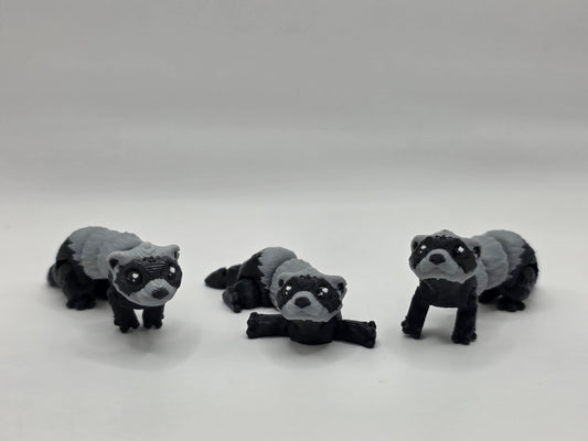 Ferret (Grey/Black) - POCKET PAL