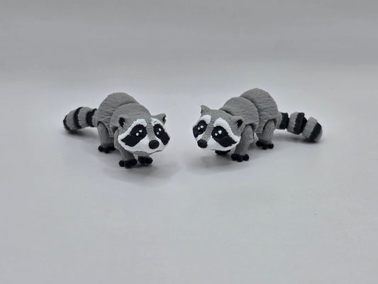 Raccoon - POCKET PAL