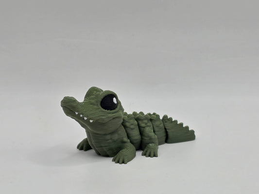 Alligator