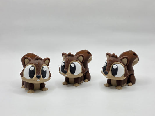 Squirrel - POCKET PAL