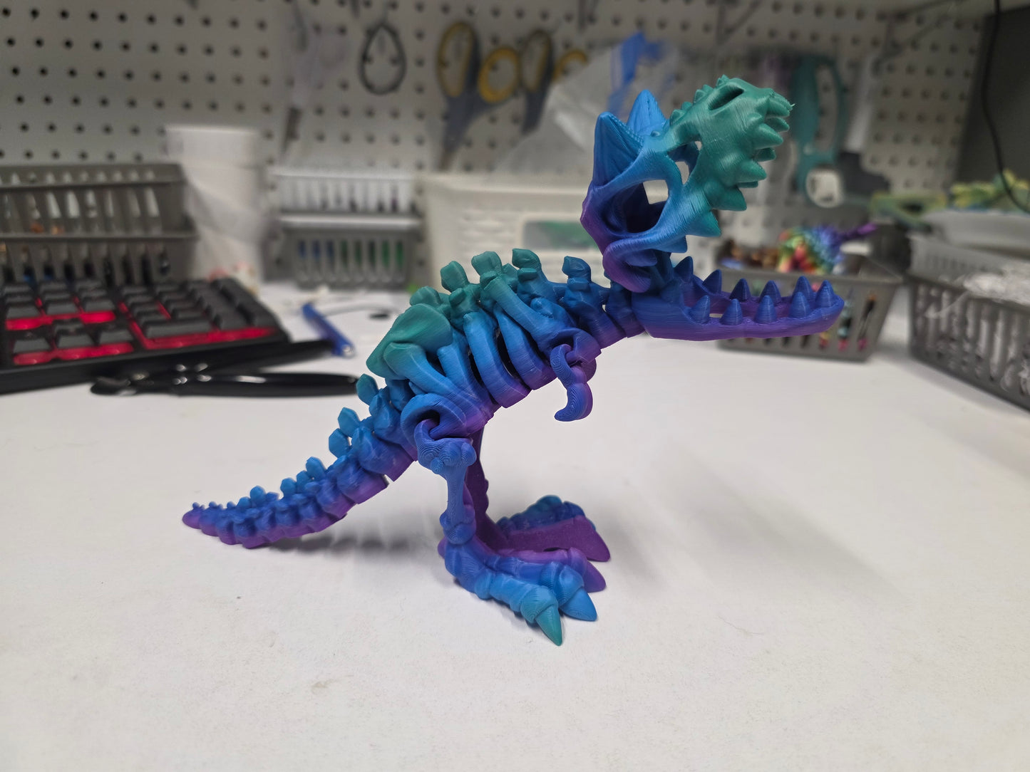 Carnotaurus Skeleton (Dino)
